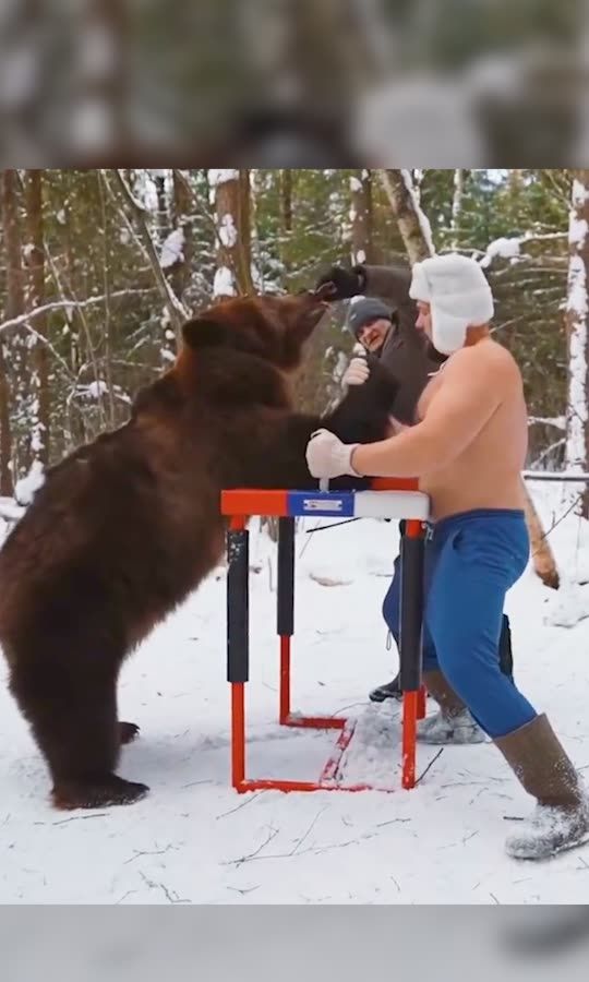 Russian Men Are Now Arm Wrestling Bears 🥴