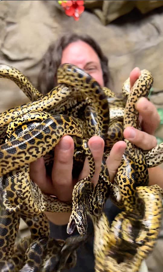 The Reptile Zoo Snapchat