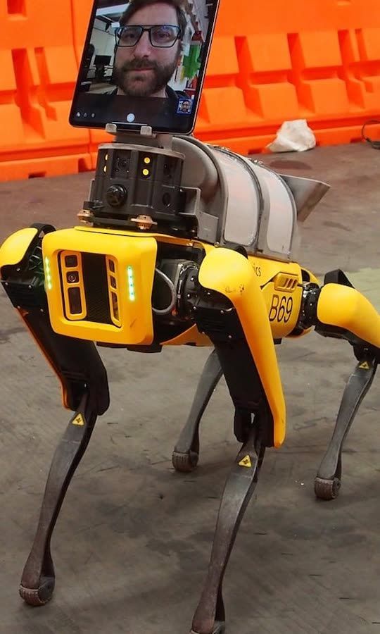 Intelligent Robot Dog