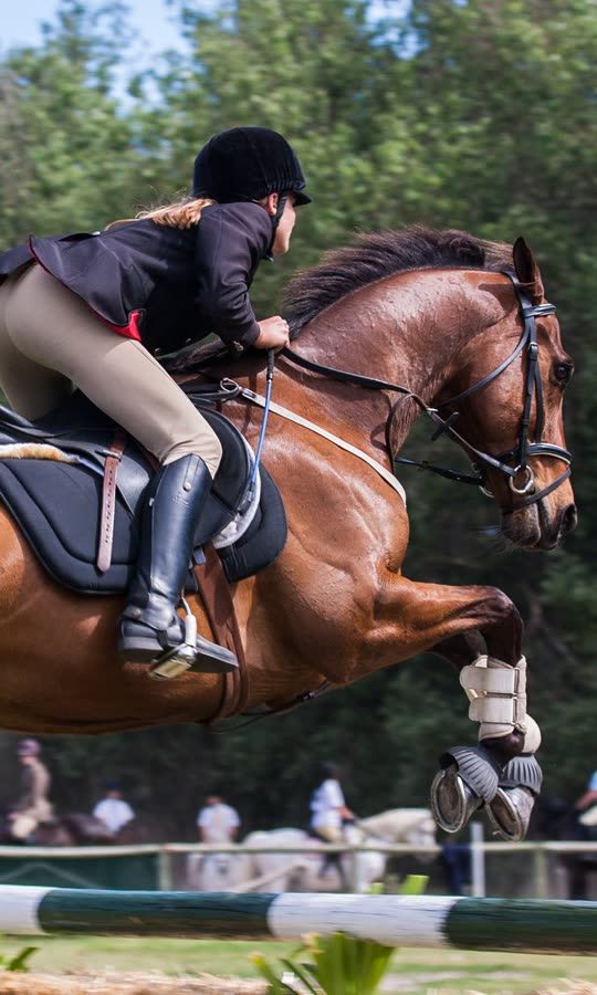 Un sport pour les riches ?