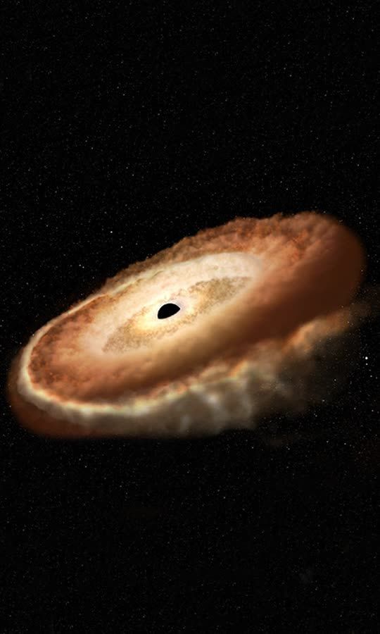 Watch a Supermassive Black Hole Devour a Star