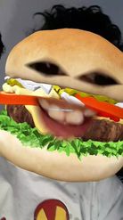 Preview for a Spotlight video that uses the Hamburger Face Lens