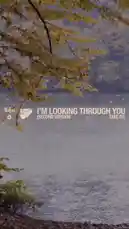 This video features a serene autumn landscape with a calm body of water and trees with yellowing leaves. The camera slowly pans down from the scenic view to a puddle on the ground, reflecting the surrounding environment. Overlaid text identifies the song as 'I'm Looking Through You (Second Version) - TAKE 03' by The Beatles. The audio consists of the band's rock music, creating a contemplative atmosphere. by @thebeatles with I'm Looking Through You (Second Version - Take 3) by The Beatles