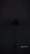 Mari Aminah (@mari_aminah) | Snapchat Stories, Spotlight & Lenses