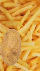 Preview for a Spotlight video that uses the Potato Fries Lens