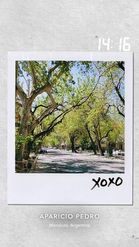 Preview for a Spotlight video that uses the xoxo Polaroid Lens