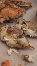 Video by @squashha with squashha by Original Sound