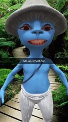 Preview for a Spotlight video that uses the Smurf Cat Lens