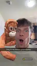 In this short-form social media clip, creator Dylan Terryberry reacts with exaggerated shock and surprise to a digital orangutan filter placed on his shoulder. The AR effect creates a comical illusion of a monkey sitting beside him, prompting his animated reaction. This type of playful, interactive content is popular for its entertainment value and shareability. by @datloading with Monkey Screaming by Ambient Jungle Sounds