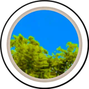 Pleasan Filter SP Lens and Filter by قصة عدسة | JABER on Snapchat