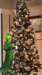 Preview for a Spotlight video that uses the Caffine Grinch Lens