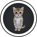 Sad Cat Joystick Lens and Filter by Danny Marree on Snapchat