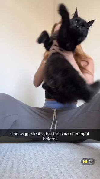 Carmie (@carmmieecat) | Snapchat Stories, Spotlight & Lenses