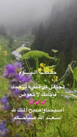 سلمان ابن سويلم 🇺🇸🇸🇦