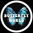 BUTTERFLY WORLD Lens and Filter by Saetenation on Snapchat