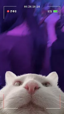 Video by @squashha with squashha by Original Sound