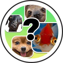 How I feel when... Lens and Filter by Snapchat on Snapchat