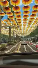 Ashley Serrano (@ashleyserranom) | Snapchat Stories, Spotlight & Lenses