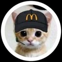 Mcdonalds Cat Lens and Filter by Brady ⁎ on Snapchat