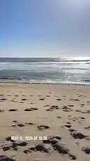 tufavlatiino 님이 만든 Original Sound 포함 @tufavlatiino 님이 만든 This short clip captures a beautiful sunny day at a beach on March 15, 2026. The camera pans across the sandy shore, showing footprints left by visitors, while waves crash against the coastline under a clear blue sky. In the distance, cliffs line the horizon, adding to the scenic coastal view.
