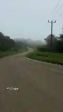 A serene, foggy morning on a rural gravel road surrounded by lush greenery. The mist blankets the distant trees, creating a peaceful and atmospheric scene. A utility pole stands along the roadside, adding a touch of rustic charm. This tranquil moment captures the beauty of nature in quiet solitude. by @nowaira-11 with original sound