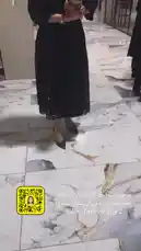 A woman elegantly models a sophisticated black lace dress in a modern retail boutique. She turns gracefully, showcasing the garment's design and fit, while holding a smartphone. The setting features marble flooring and clothing racks, creating a chic atmosphere. Text overlays identify the brand 'Glow Hub by Roya' and the Arabic phrase 'لحن عمان في كونسيست سطور,' suggesting a fusion of Omani music and style. by @needle_t with needle_t by Original Sound