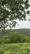 This tranquil video captures a breathtaking landscape filled with vibrant purple flowers swaying gently in the breeze. The camera pans across the lush greenery, revealing a winding dirt road in the distance where a white car is parked, adding a touch of human presence to the otherwise untouched natural beauty. The soft, melodic background music enhances the peaceful atmosphere, making it an ideal visual escape. by @nowaira-11 with ⭐️ by G