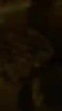 This video walks you through the process of designing a logo for your brand, showcasing key elements like typography, color schemes, and visual identity. It provides practical tips on choosing the right font and creating a memorable brand image. by @vg.lens with vg.lens by Original Sound