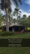 مخيم بين النخيل من محتوى RX89