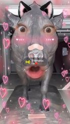 Preview for a Spotlight video that uses the kawaii cow Lens