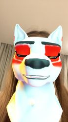 Preview for a Spotlight video that uses the Furry Lens