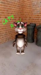 Preview for a Spotlight video that uses the Talking Tom Lens