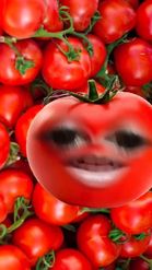 Preview for a Spotlight video that uses the Red Tomato Face Lens