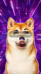 Preview for a Spotlight video that uses the Shiba Inu Space Lens