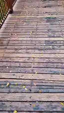 Video by @amohammad_97 with amohammad_97 by Original Sound