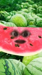 Preview for a Spotlight video that uses the Watermelon Head Lens
