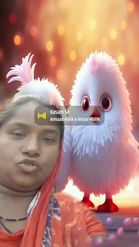 Preview for a Spotlight video that uses the Cutie Pie Birds Lens