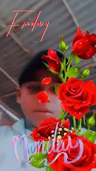 Preview for a Spotlight video that uses the Day Red Flowers Lens