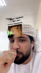 Preview for a Spotlight video that uses the Which Capybara Lens