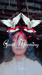 Preview for a Spotlight video that uses the Good Morning Birds Lens