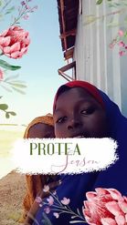 Preview for a Spotlight video that uses the Protea Season Lens