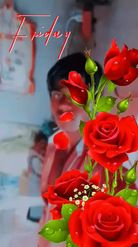 Preview for a Spotlight video that uses the Day Red Flowers Lens