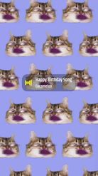 Preview for a Spotlight video that uses the Cats pattern Lens