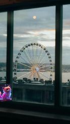 Preview for a Spotlight video that uses the Ferris Wheel Lens
