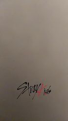 Preview for a Spotlight video that uses the Stray Kids Lens