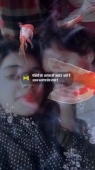 Preview for a Spotlight video that uses the Koi Fish Lens