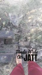 Preview for a Spotlight video that uses the Pinda Wale Jatt Lens