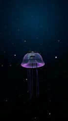 Preview for a Spotlight video that uses the Jellyfish Lens