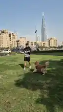 Video by @k_viewty with Original Sound by k_viewty