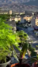 This peaceful morning scene features lush green potted plants on a balcony overlooking a cityscape with mountains in the background. Arabic text overlays display the Islamic morning prayer, 'أصبحنا وأصبح الملك لله والحمد لله لا إله إلا الله وحده لا شريك له له الملك وله الحمد وهو على كل شيء قدير,' while a male voice recites it clearly. The calm atmosphere makes it ideal for meditation, mindfulness, or starting your day with a spiritual routine. by @soldere.ledyafa with Original Sound by soldere.ledyafa
